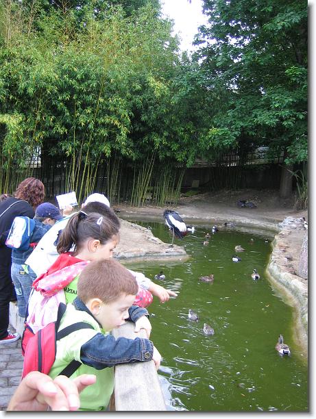 Has llegado a la última diapositiva